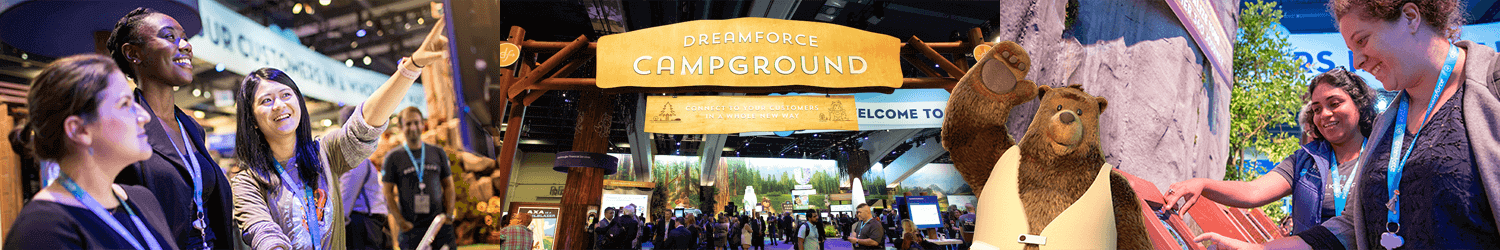 Salesforce-dreamforce-head