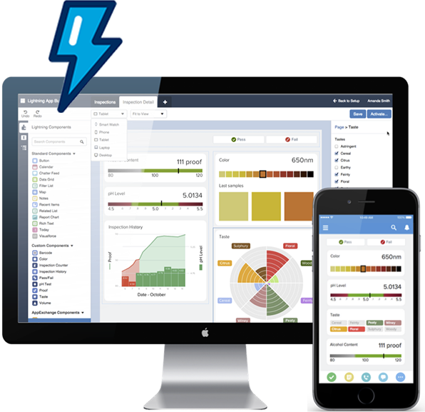 Salesforce Platform Lightning Salesforce Platform Lightning