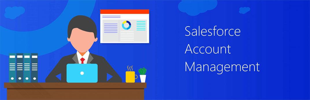 Salesforce Account Manager