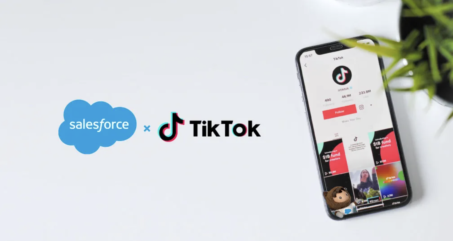 Salesforce + TikTok