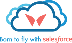Born To Fly with Salesforce
