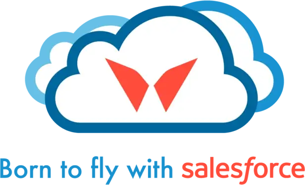 Born to fly with SalesForce