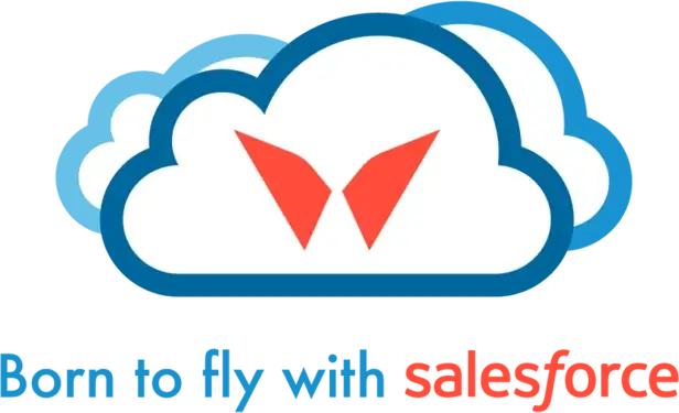 Born to fly with Salesforce